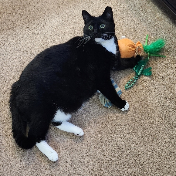 Hello! 💜💙💚 - Picture 11 of 16